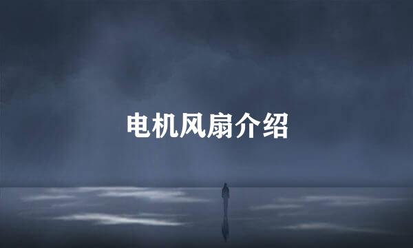 电机风扇介绍