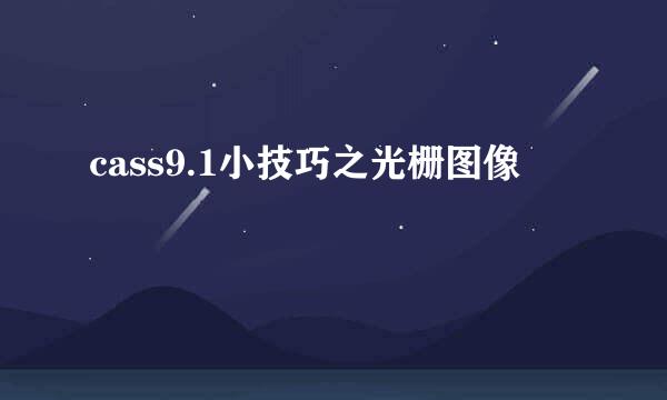 cass9.1小技巧之光栅图像