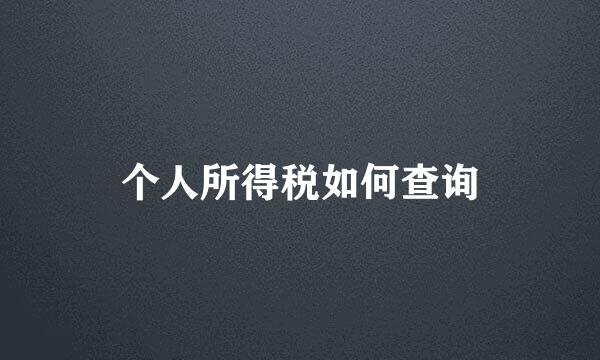 个人所得税如何查询