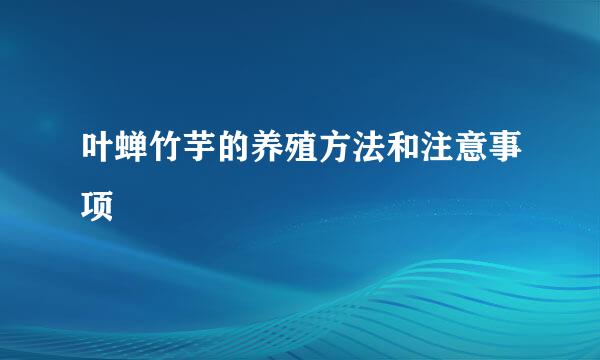 叶蝉竹芋的养殖方法和注意事项