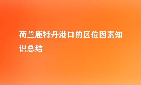 荷兰鹿特丹港口的区位因素知识总结