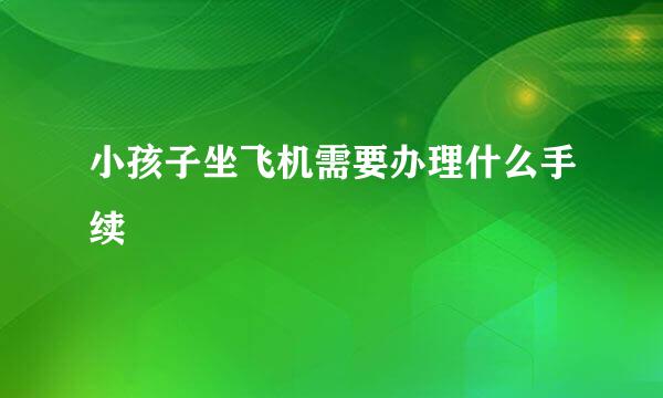 小孩子坐飞机需要办理什么手续