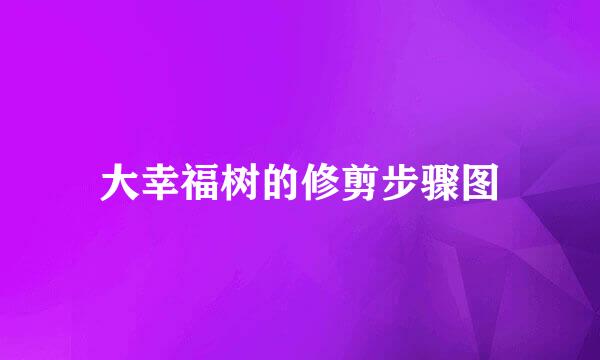 大幸福树的修剪步骤图