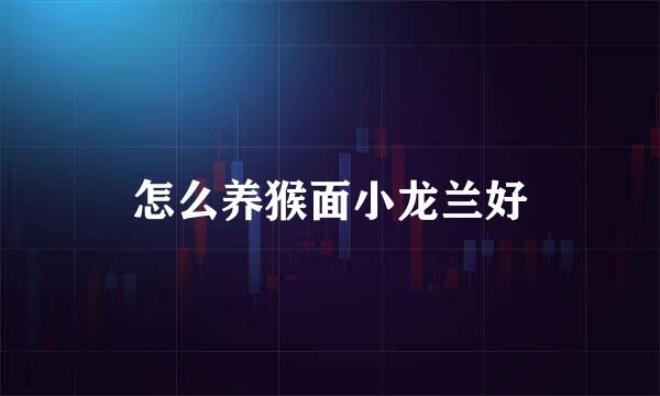 怎么养猴面小龙兰好