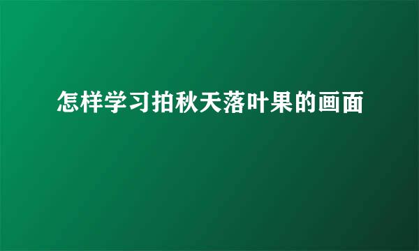 怎样学习拍秋天落叶果的画面