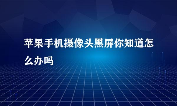 苹果手机摄像头黑屏你知道怎么办吗