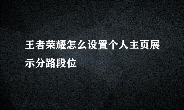 王者荣耀怎么设置个人主页展示分路段位