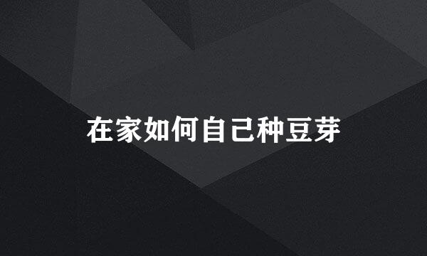 在家如何自己种豆芽