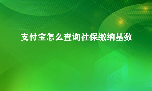 支付宝怎么查询社保缴纳基数
