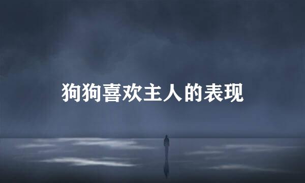 狗狗喜欢主人的表现
