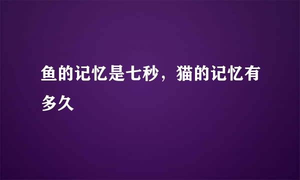 鱼的记忆是七秒，猫的记忆有多久