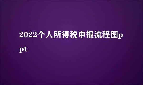 2022个人所得税申报流程图ppt