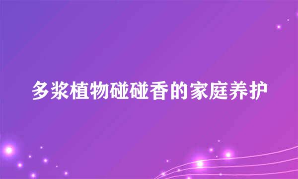 多浆植物碰碰香的家庭养护