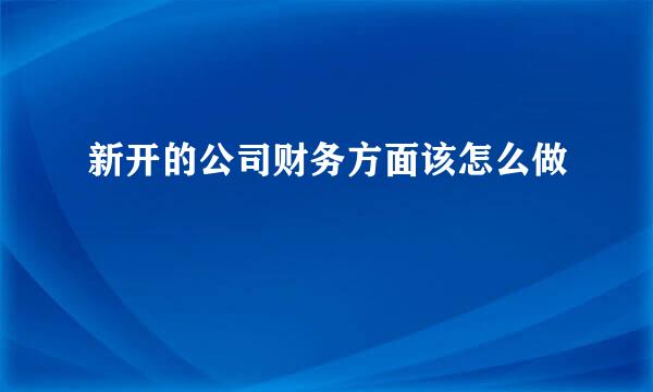 新开的公司财务方面该怎么做