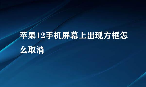 苹果12手机屏幕上出现方框怎么取消