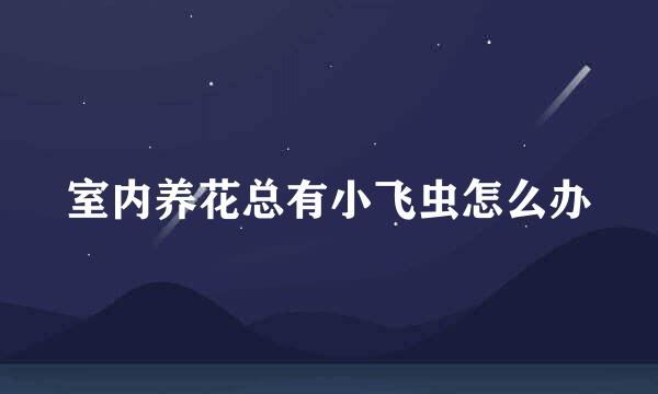 室内养花总有小飞虫怎么办
