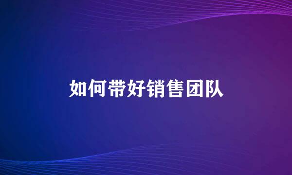 如何带好销售团队
