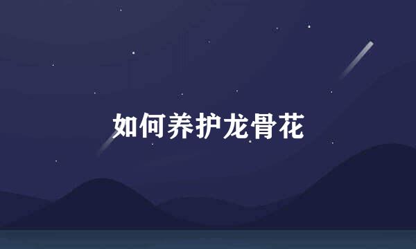 如何养护龙骨花