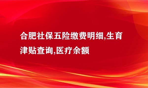 合肥社保五险缴费明细,生育津贴查询,医疗余额