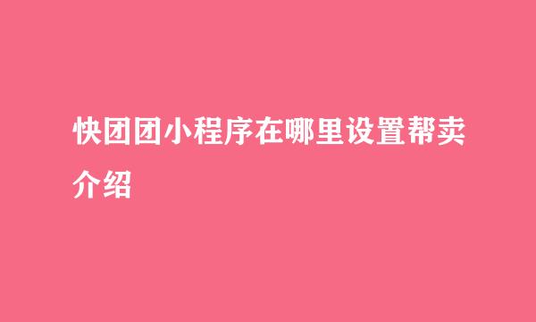 快团团小程序在哪里设置帮卖介绍