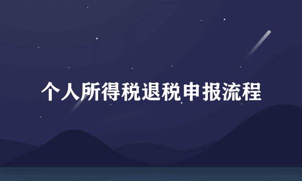个人所得税退税申报流程
