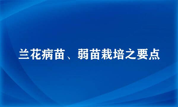 兰花病苗、弱苗栽培之要点