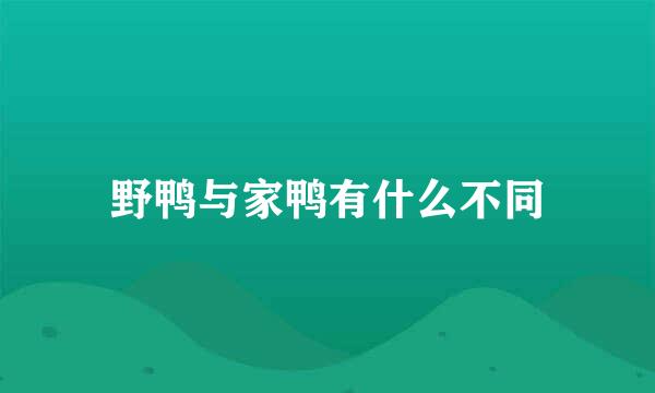 野鸭与家鸭有什么不同