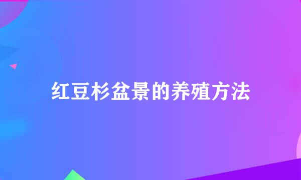 红豆杉盆景的养殖方法