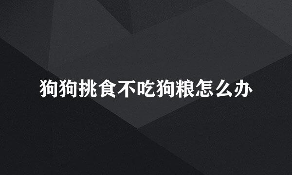 狗狗挑食不吃狗粮怎么办