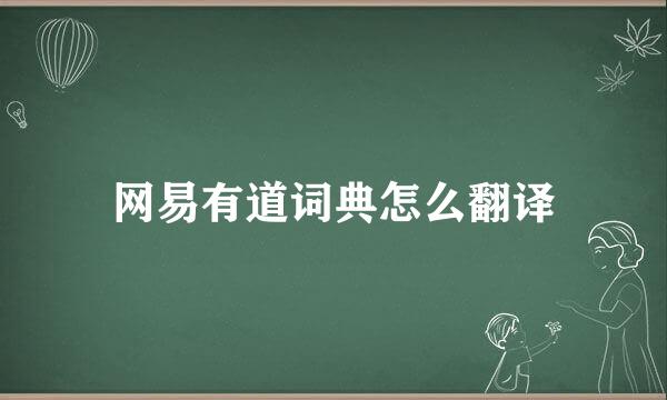 网易有道词典怎么翻译