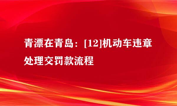 青漂在青岛：[12]机动车违章处理交罚款流程