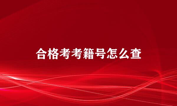 合格考考籍号怎么查