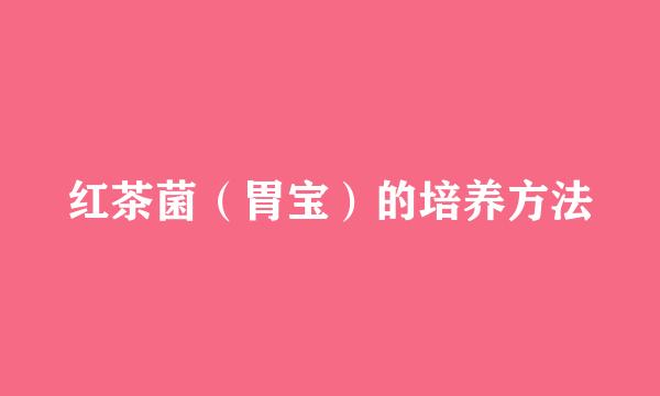 红茶菌（胃宝）的培养方法