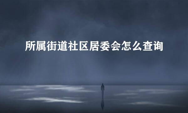 所属街道社区居委会怎么查询