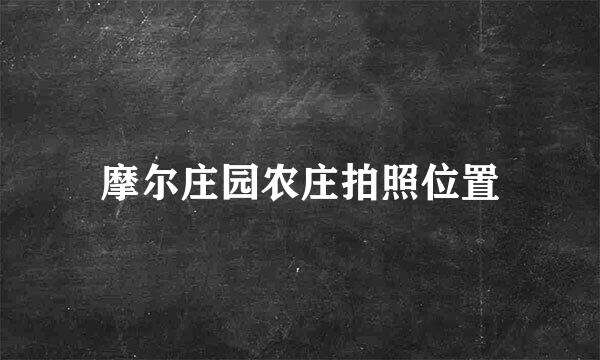 摩尔庄园农庄拍照位置