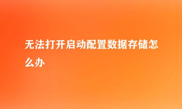 无法打开启动配置数据存储怎么办
