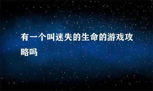有一个叫迷失的生命的游戏攻略吗
