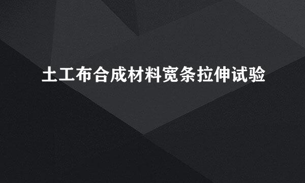 土工布合成材料宽条拉伸试验