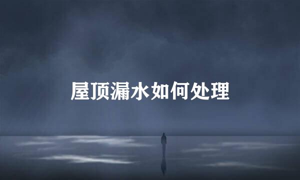 屋顶漏水如何处理