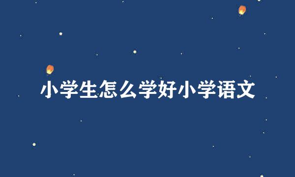 小学生怎么学好小学语文
