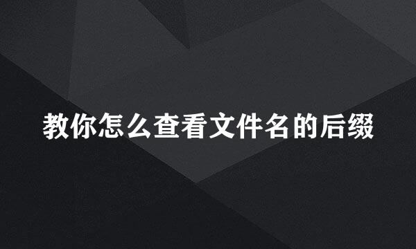 教你怎么查看文件名的后缀
