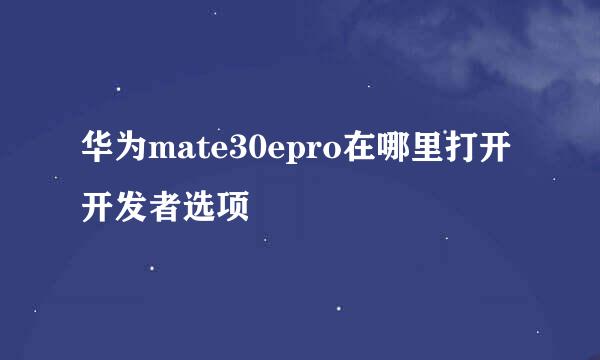 华为mate30epro在哪里打开开发者选项