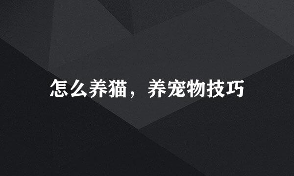 怎么养猫，养宠物技巧