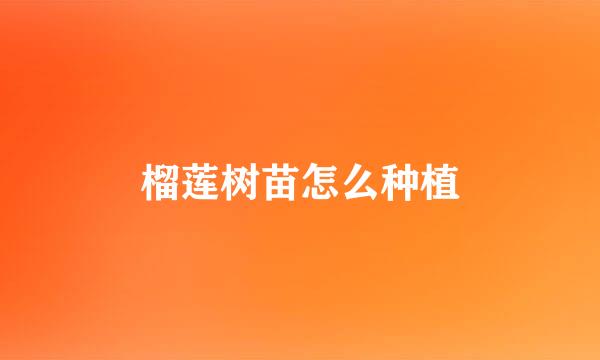 榴莲树苗怎么种植