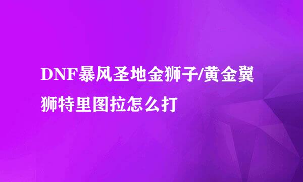 DNF暴风圣地金狮子/黄金翼狮特里图拉怎么打