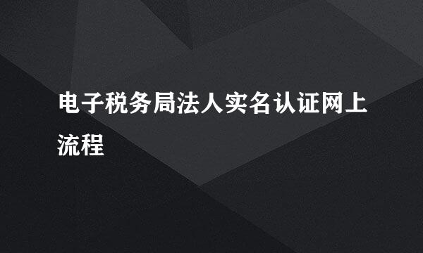 电子税务局法人实名认证网上流程