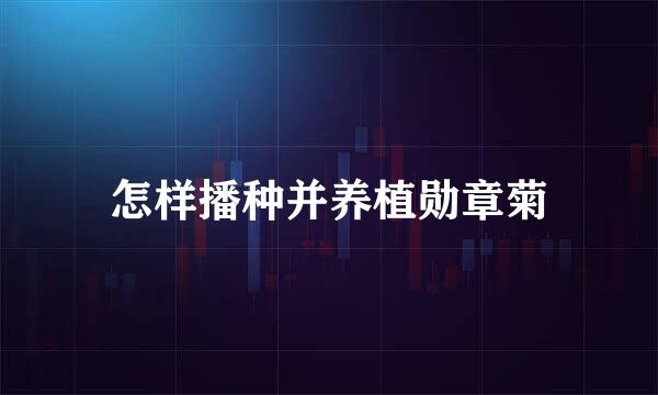 怎样播种并养植勋章菊