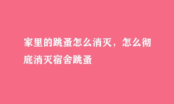 家里的跳蚤怎么消灭，怎么彻底消灭宿舍跳蚤