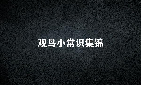 观鸟小常识集锦