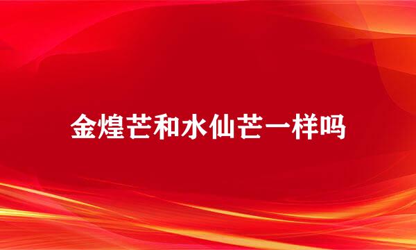 金煌芒和水仙芒一样吗